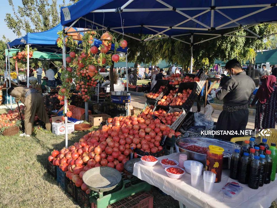 بالصور | حدائق حلبجة تزدان جمالاً بمهرجان 