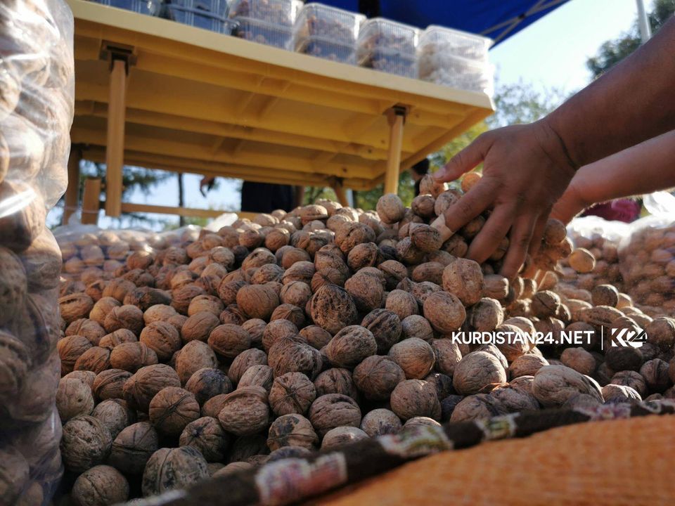 بالصور | حدائق حلبجة تزدان جمالاً بمهرجان 