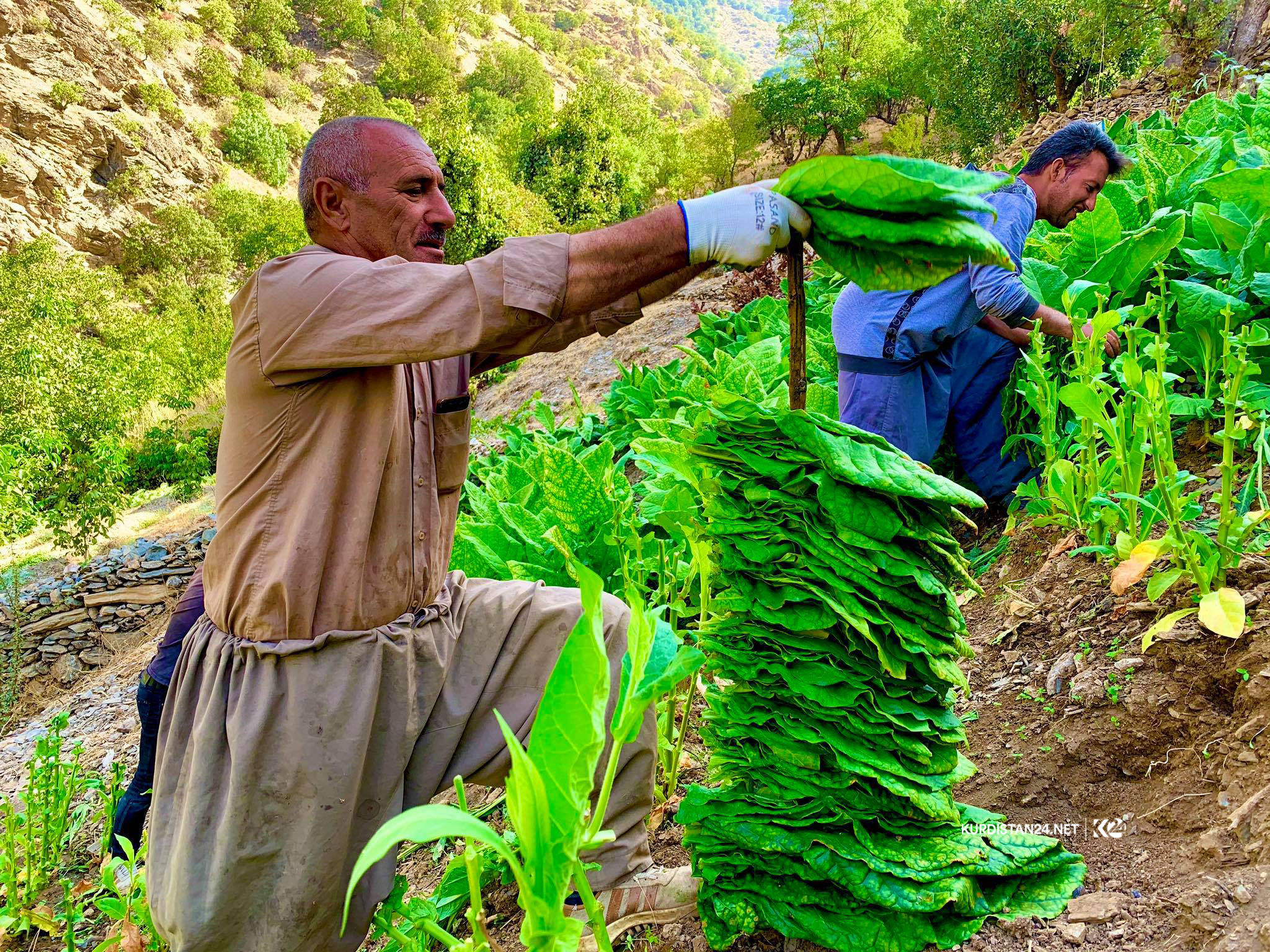 Photo: Kurdistan 24