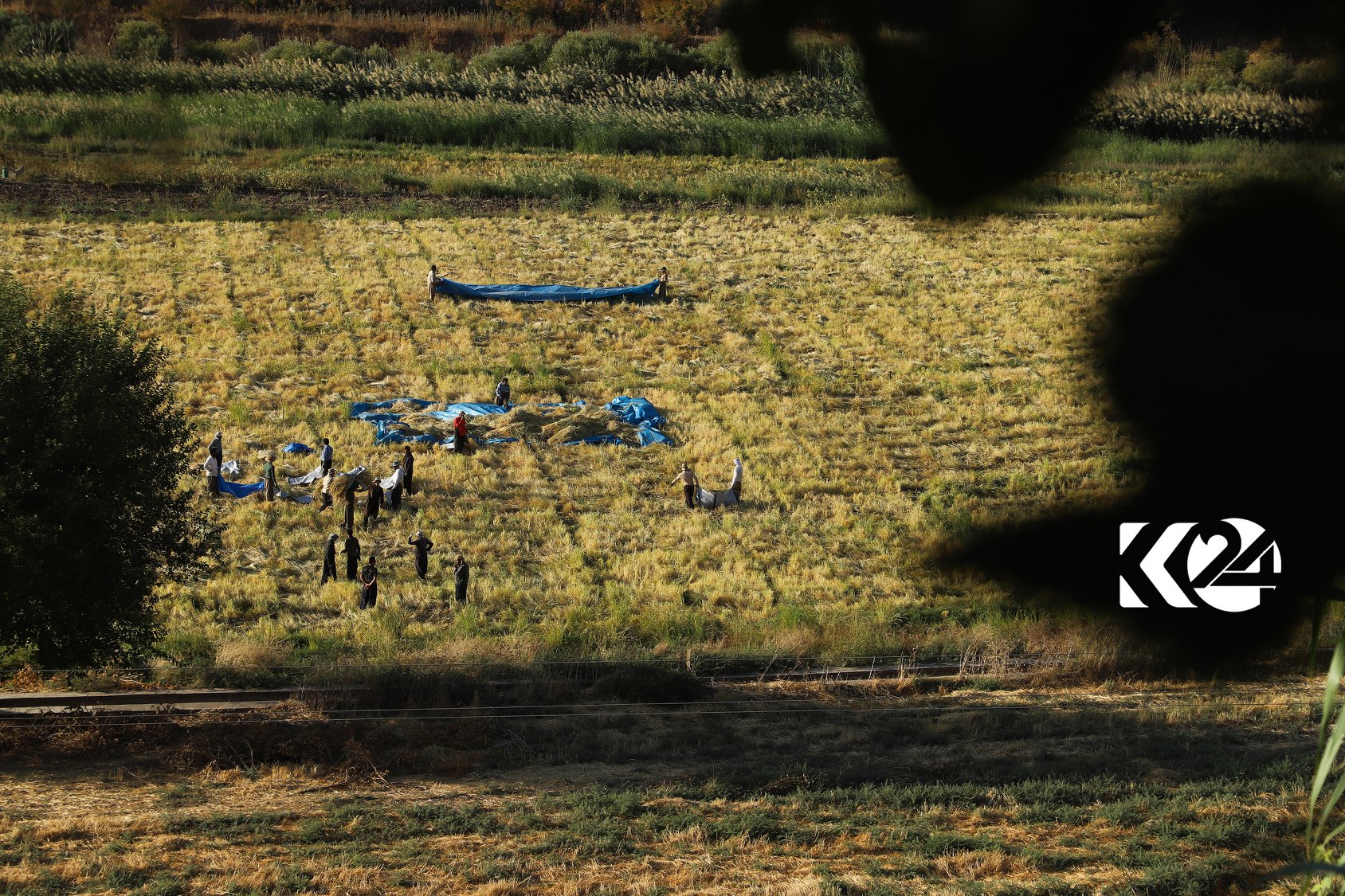 Berhemanîna birinca kurdî li parêzgeha Silêmaniyê zêde bûye