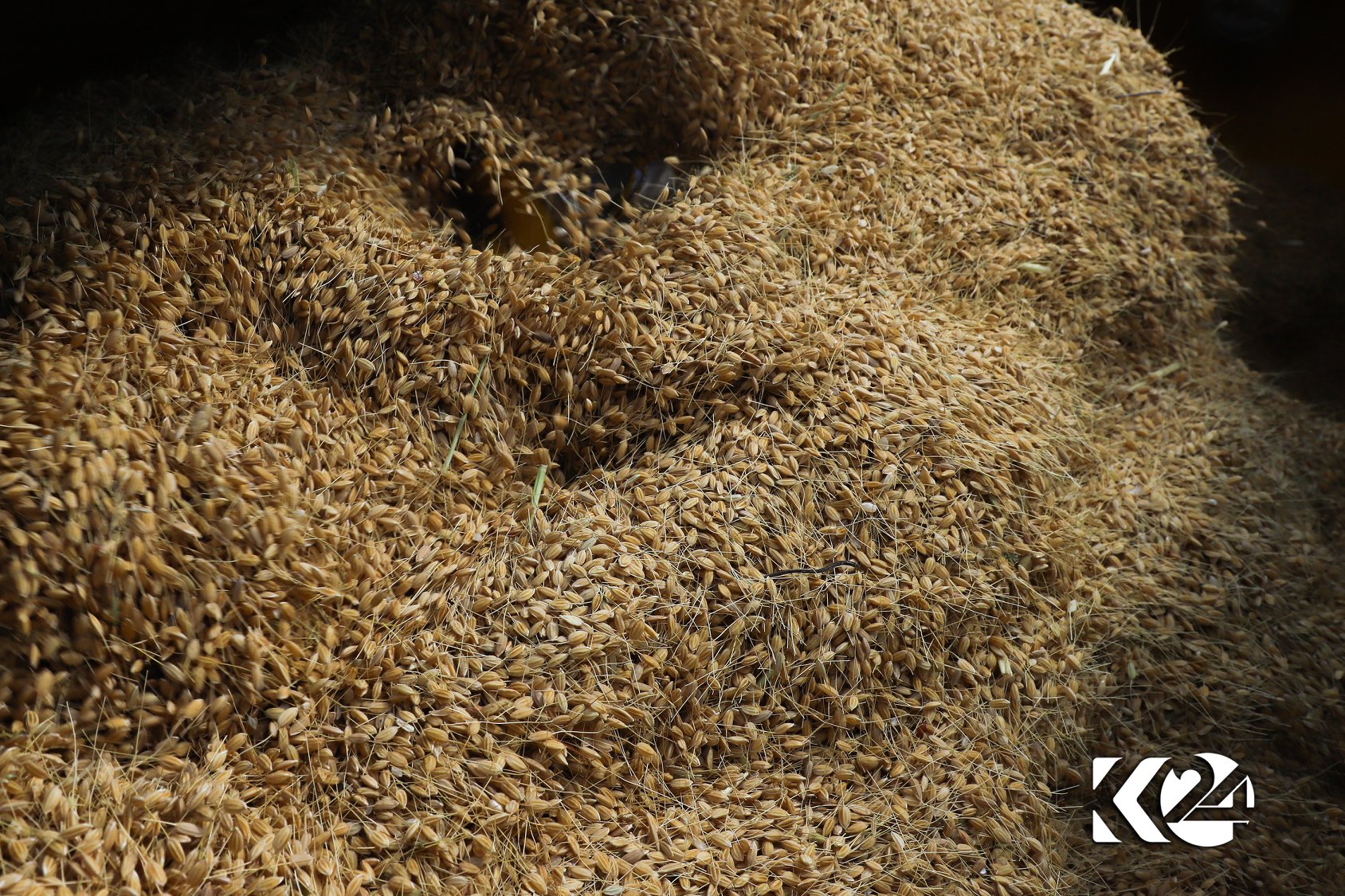 Berhemanîna birinca kurdî li parêzgeha Silêmaniyê zêde bûye