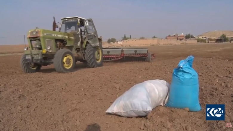 Cotyarên rojavayê Kurdisanê dest bi çandina genim kirin 