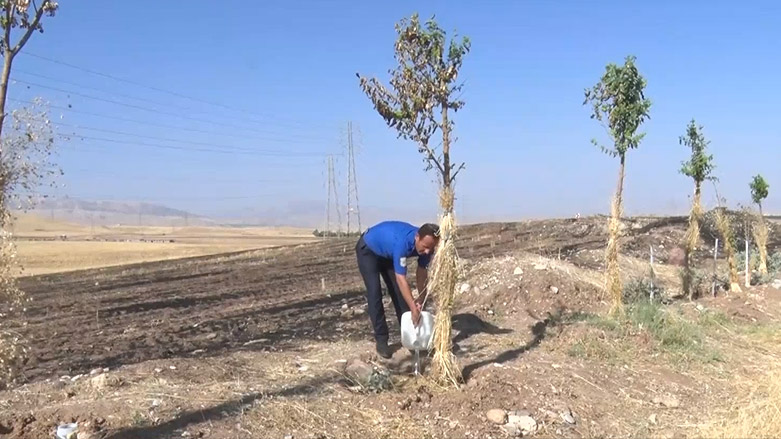 ئاوادان و پاراستنی دارودرەخت لە هەڵەبجە