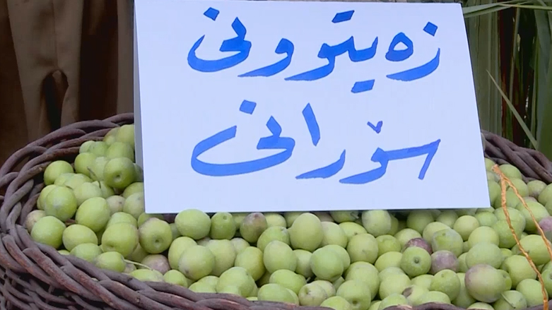 پێشانگەی بەرهەمی زەیتوون لە کەلار