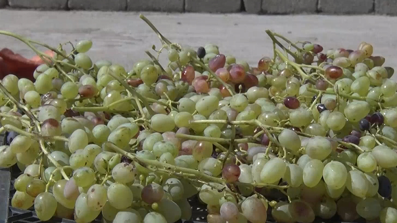 هەفتانە رۆژی 01/11/2019