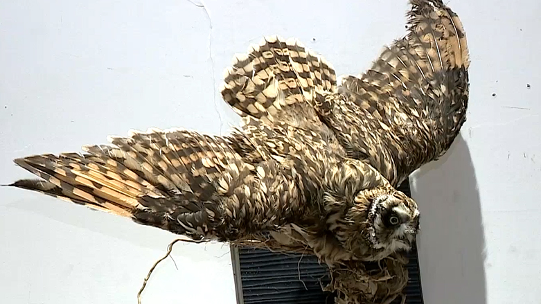 هەفتانە رۆژی هەینی 27/12/2019