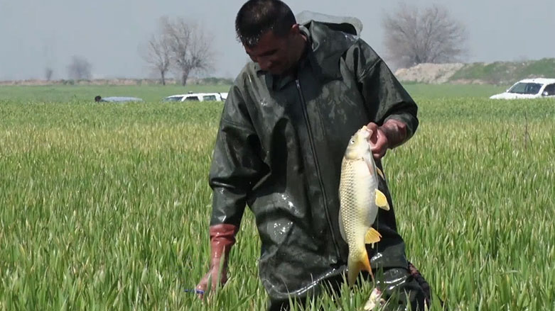 هەفتانە رۆژی هەینی 29/03/2019