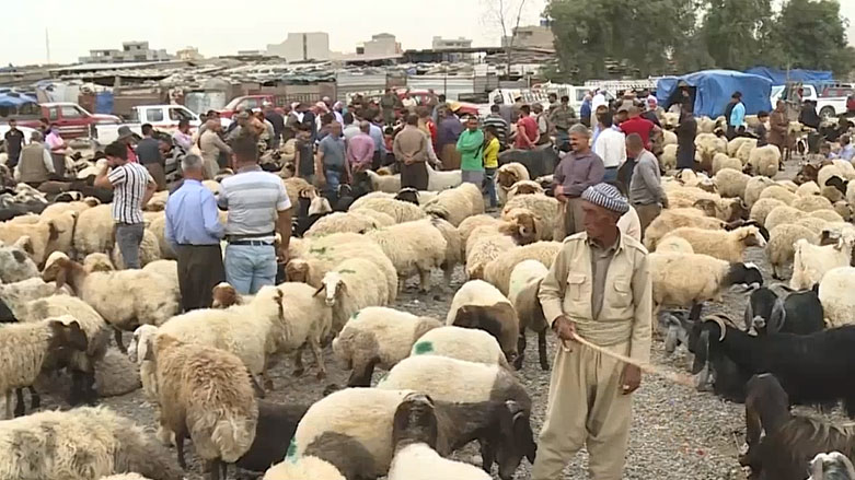 فرۆشتنی مەڕ و ماڵات لە رۆژانی جەژن لە زاخۆ