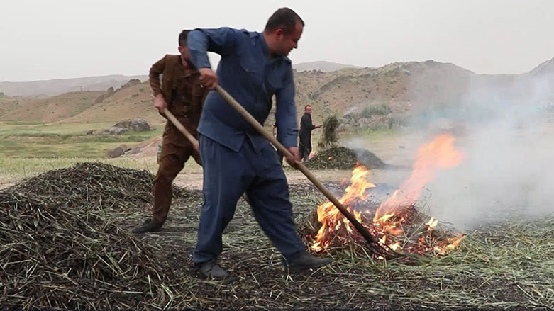 ئامادەکردنی قەرەخەرمان لە بانیخێڵان