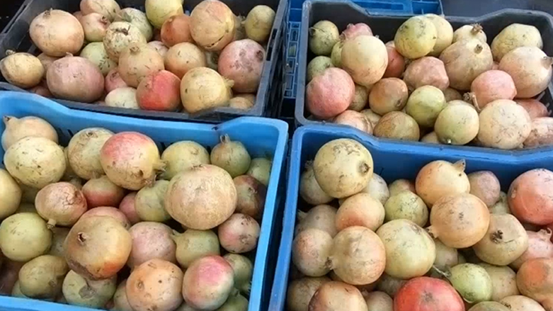 دروستکردنی شەربەتی هەنار لە هەریر