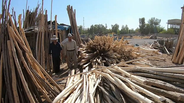 مەیدانی دارفرۆشان لە شارەدێی شۆڕش