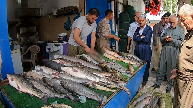 دەستپێکردنەوەی راوە ماسی لە دەربەندیخان
