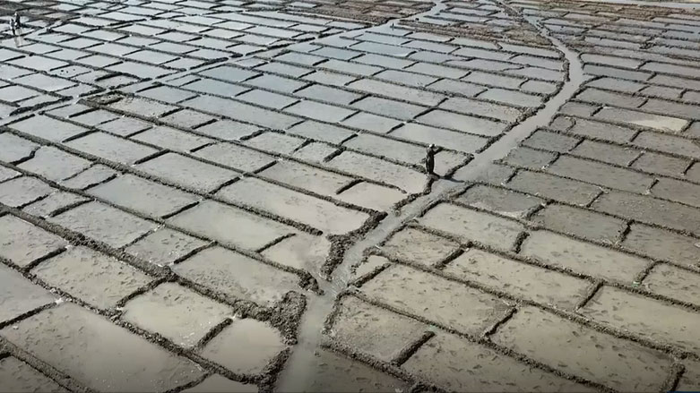 وەرزی مەرزەکردن لە گەرمیان