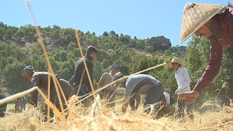 پڕۆژەکانی وەبەرهێنان لە هەرێمی کوردستان