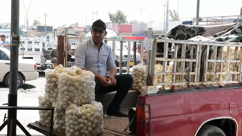 هەرزانی نرخی بەرهەمی کشتوکاڵی ناوخۆ