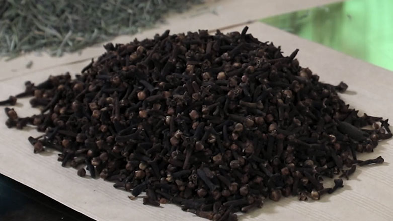 ئایا راسته‌ مێخەک چاره‌سه‌ره‌ بۆ ڤایرۆسی کۆرۆنا؟