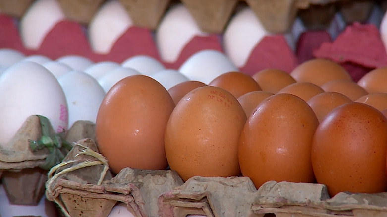 سەرەڕای قەدەغەکردنی بەڵام لە یەکێك لە خاڵە سنوورییەکانەوە ھێلکە ھاوردە دەکرێت
