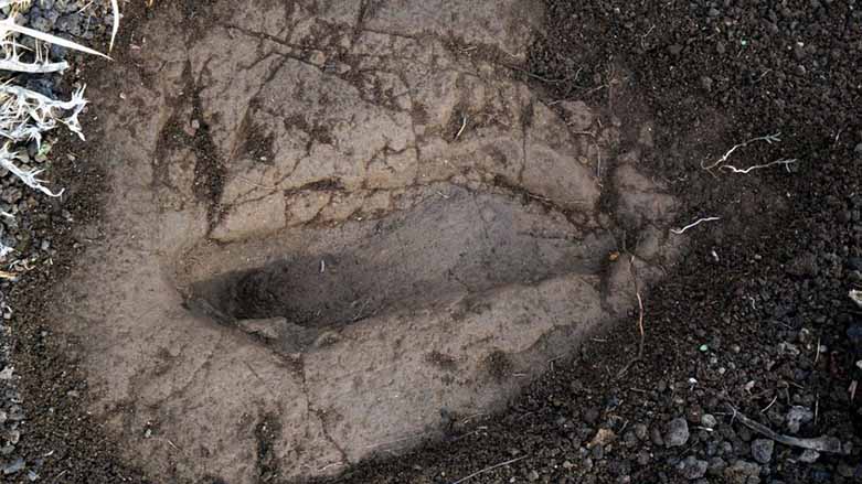 5.7 milyon yıllık ayak izleri bulundu