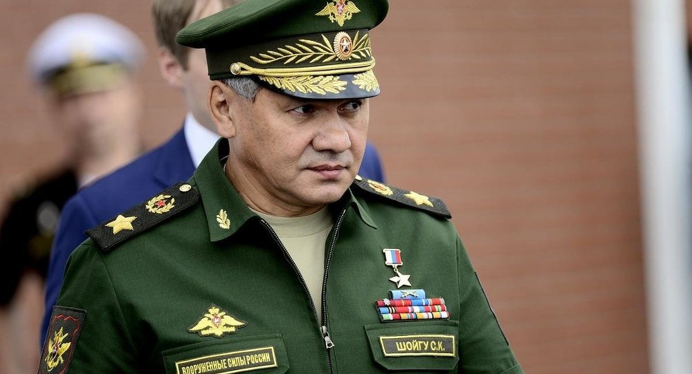 Şoygu: Türkiye NATO'ya öncülük edebilir