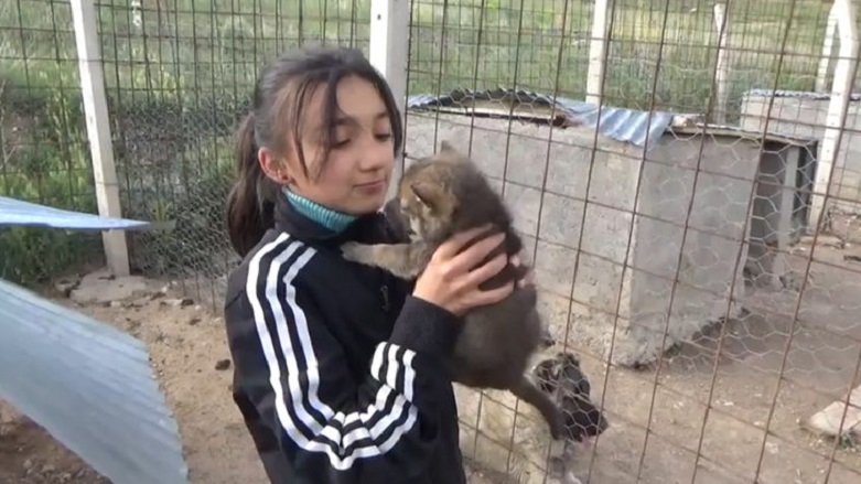 Ve köpek kurdu emzirdi!