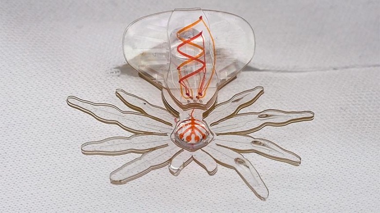 Örümcek kılığında robot