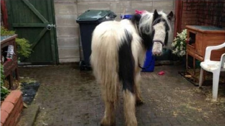 Hayat kurtaran çocuk