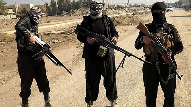 Alman uzman: DAİŞ sadece Suriye ve Irak’ta değil