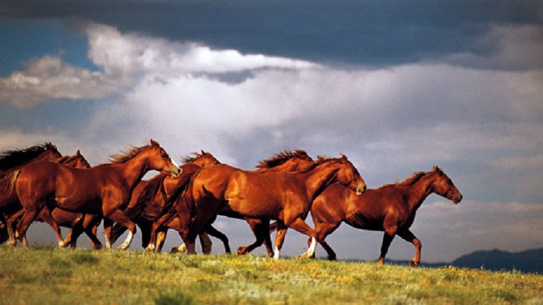 Hint-Avrupa dilleri nasıl yayıldı?