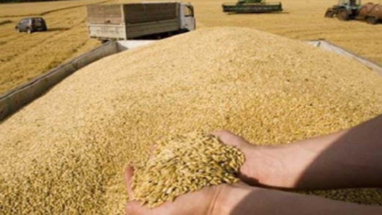 Kürdistan buğdayına birincilik ödülü