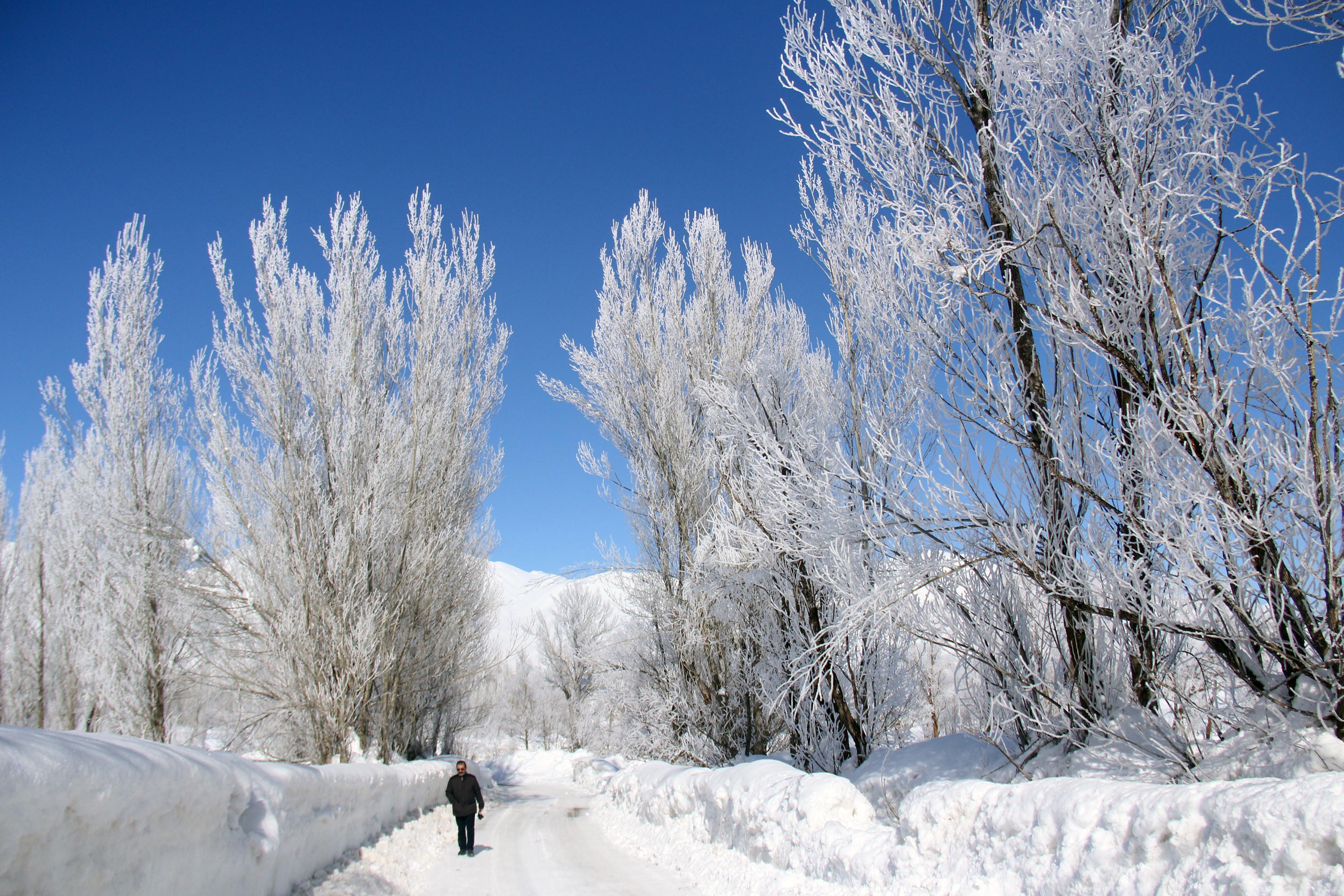 FOTO - Dersim’den kar manzaları 