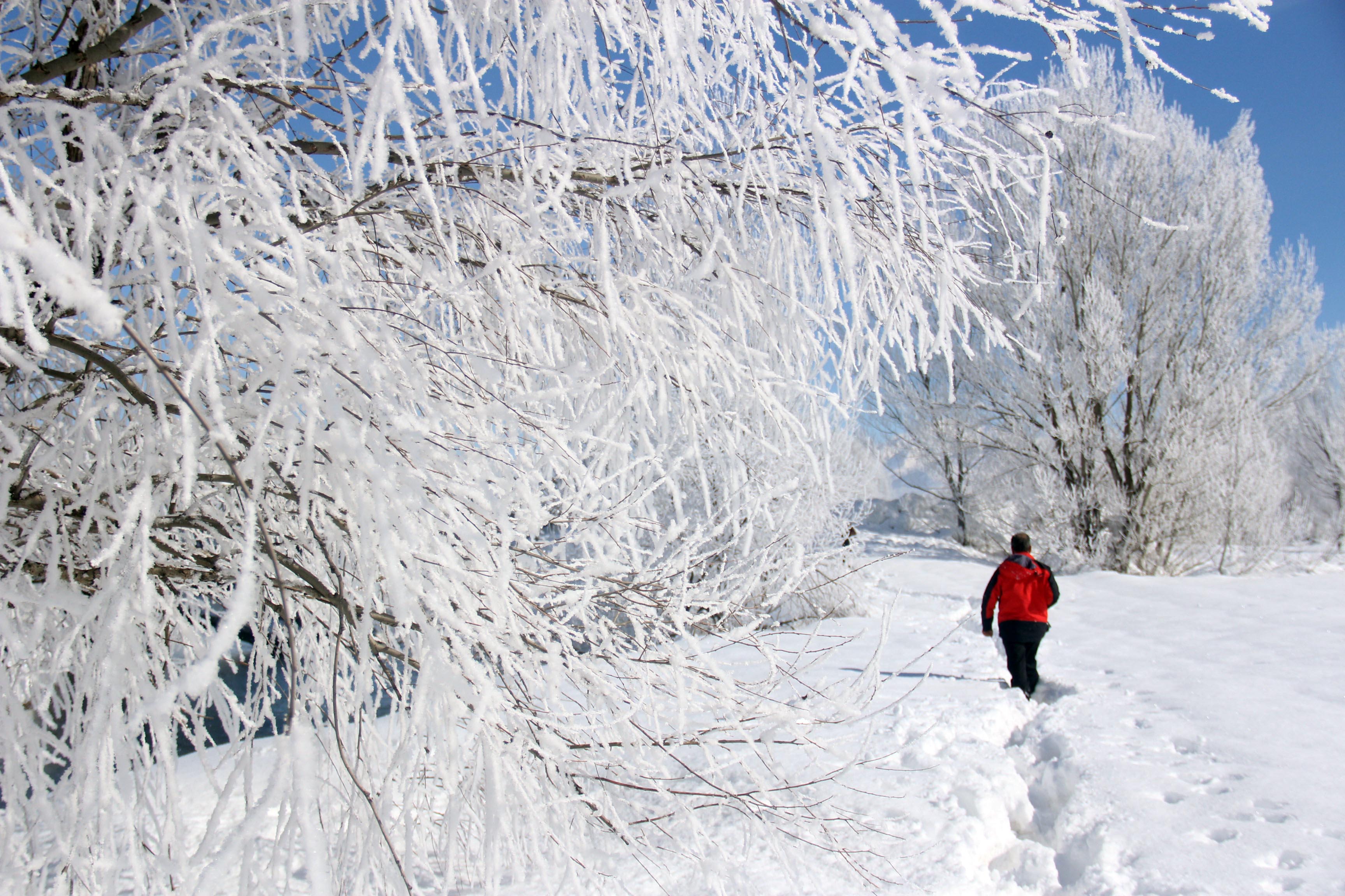 FOTO - Dersim’den kar manzaları 