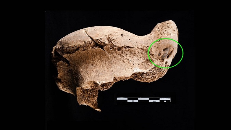 Göbeklitepe'de önemli bulgu