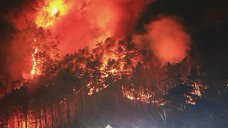 250 hektarlık alan küle döndü