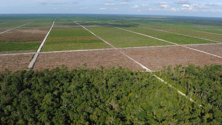 Dünyanın 1 yıllık doğal kaynakları bugün tükendi
