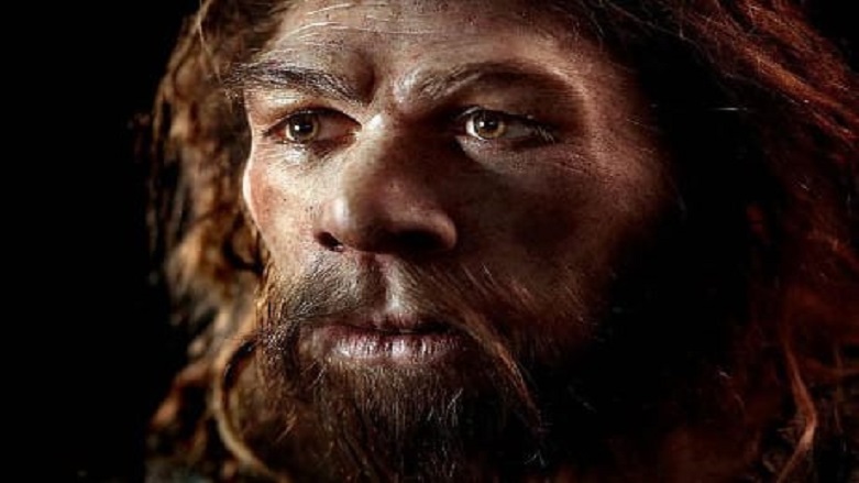 60 bin yıllık fosilin tomografisi çekildi