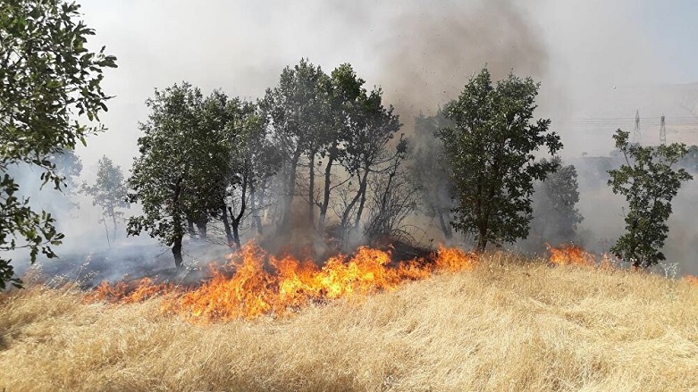 Diyarbakır’da yangın: 300 dönümlük alan kül oldu
