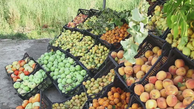 فرۆشتنی میوەی خۆماڵی لە ئامێدی