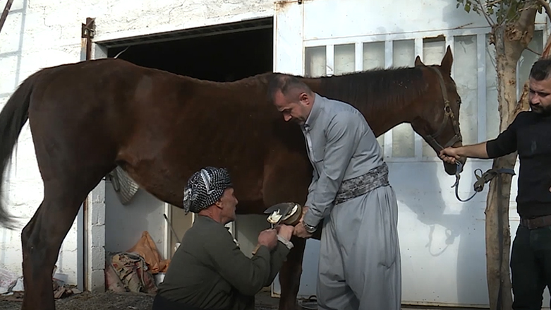 ئەسپسواری لە رانیە
