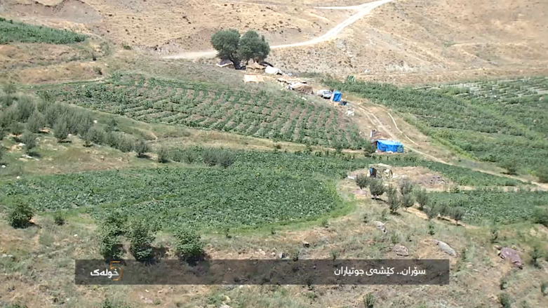 سۆران .. کێشەی جوتیاران