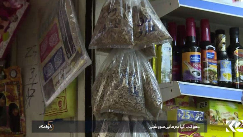 دهۆك .. گيا دەرمانى سروشتى