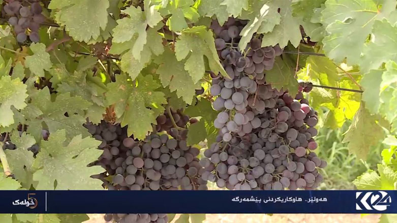 هەولێر .. هاوكاريكردنى پێشمەرگە