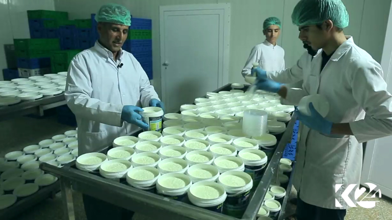 بەرهەمی شیرەمەنییەكان