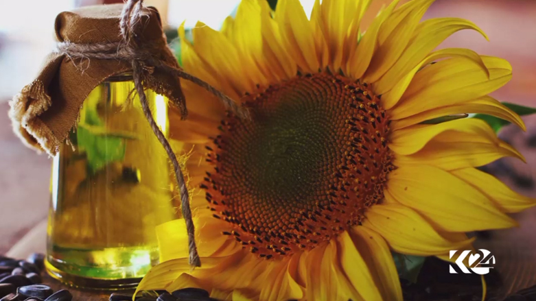 هۆکاری بەرز بوونەوەی چەوری لە لەشمان چیە؟ کۆلیستڕۆلی خوێن چۆن بەرز دەبێتەوە؟